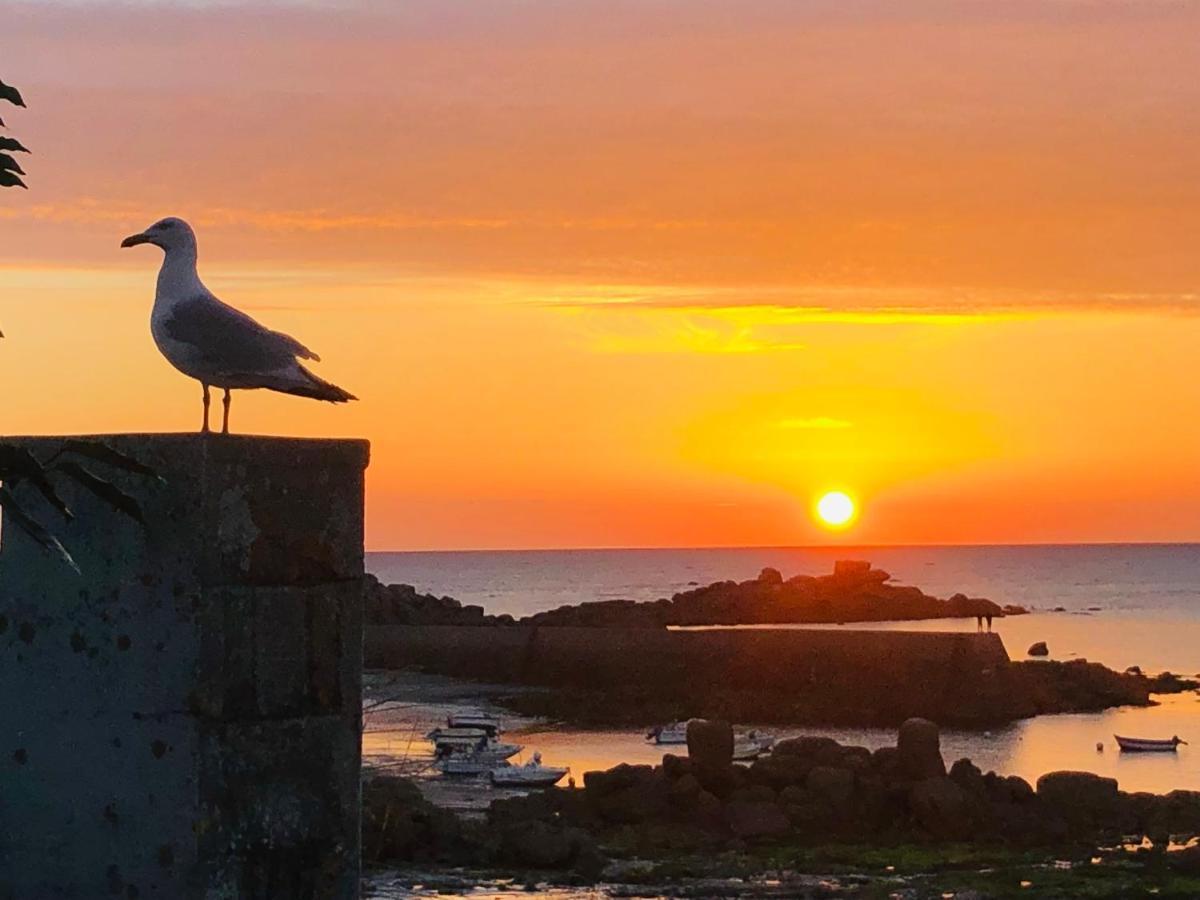 Le Penty De Kerfissien, Studio De Plage 2 Etoiles Cleder Bagian luar foto